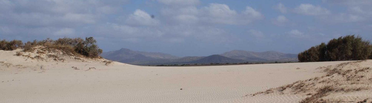 the-perfect-white-dunes-of-morrinho-bg