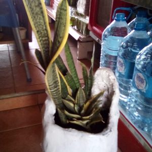 maio locally made garden vases and tubs made to order cement 01