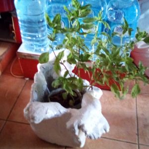 maio locally made garden vases tubs made to order cement 02