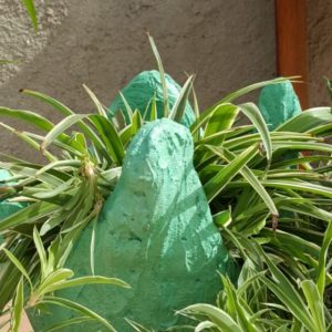 handmade concrete green garden plantter tub looking down with plants