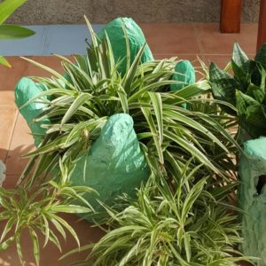 handmade concrete green garden tub with plant