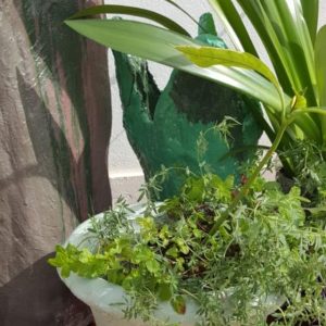 handmade concrete round garden planter with plant