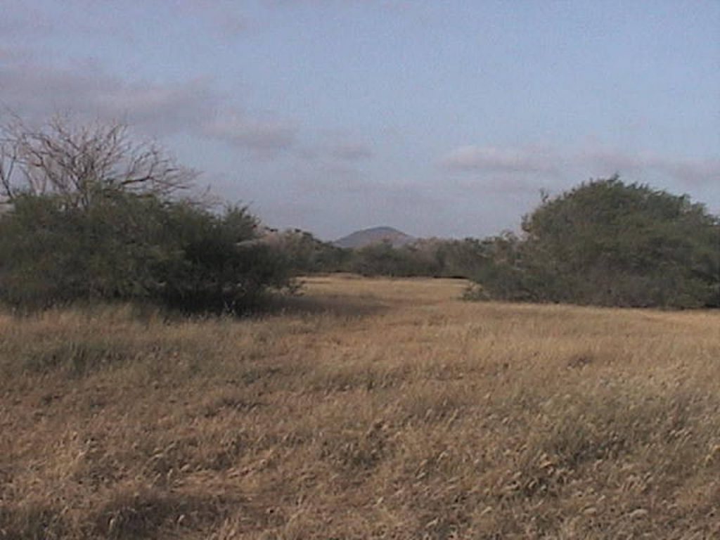 Large Plot of FrontLine Land For Sale, Maio Cape Verde Maio, Cape
