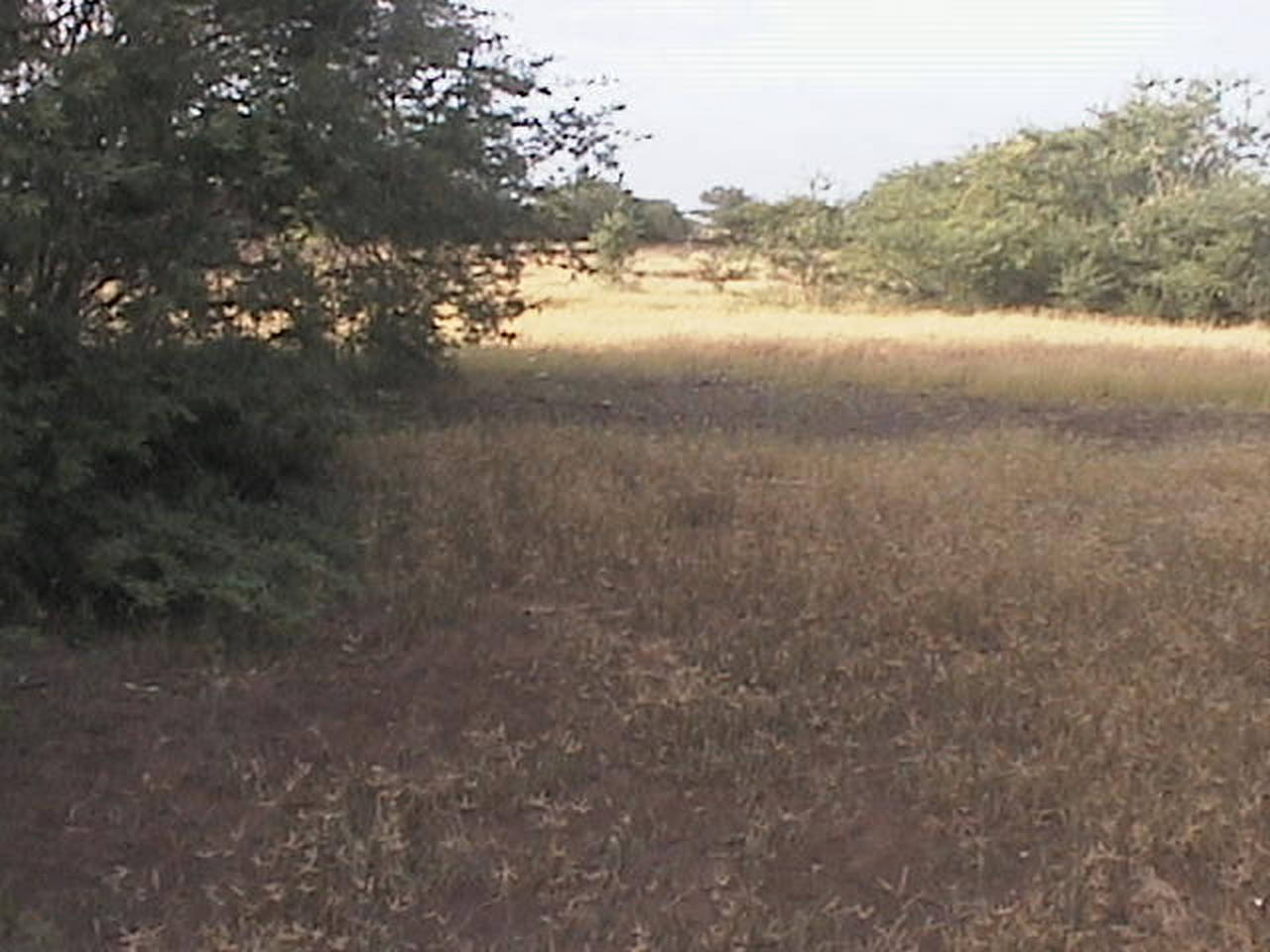 Large Plot of FrontLine Land For Sale, Maio Cape Verde Maio, Cape