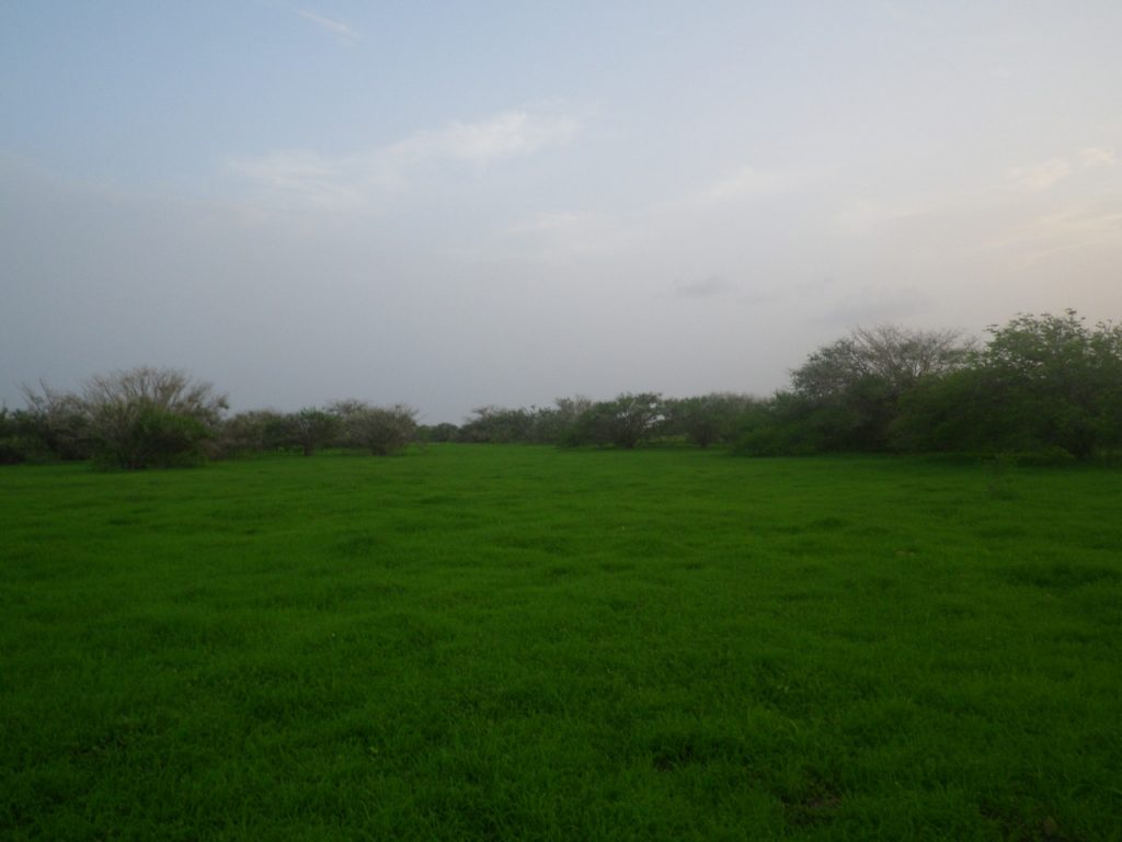 Large Plot of FrontLine Land For Sale, Maio Cape Verde Maio, Cape