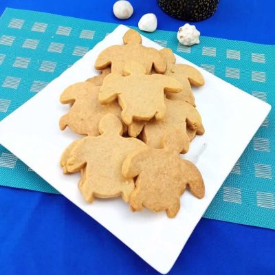 tartaruga turtle shaped biscuits handmade by mariama in morro ilha do maio