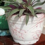 locally handmade concrete garden tubs, planters and containers for sale